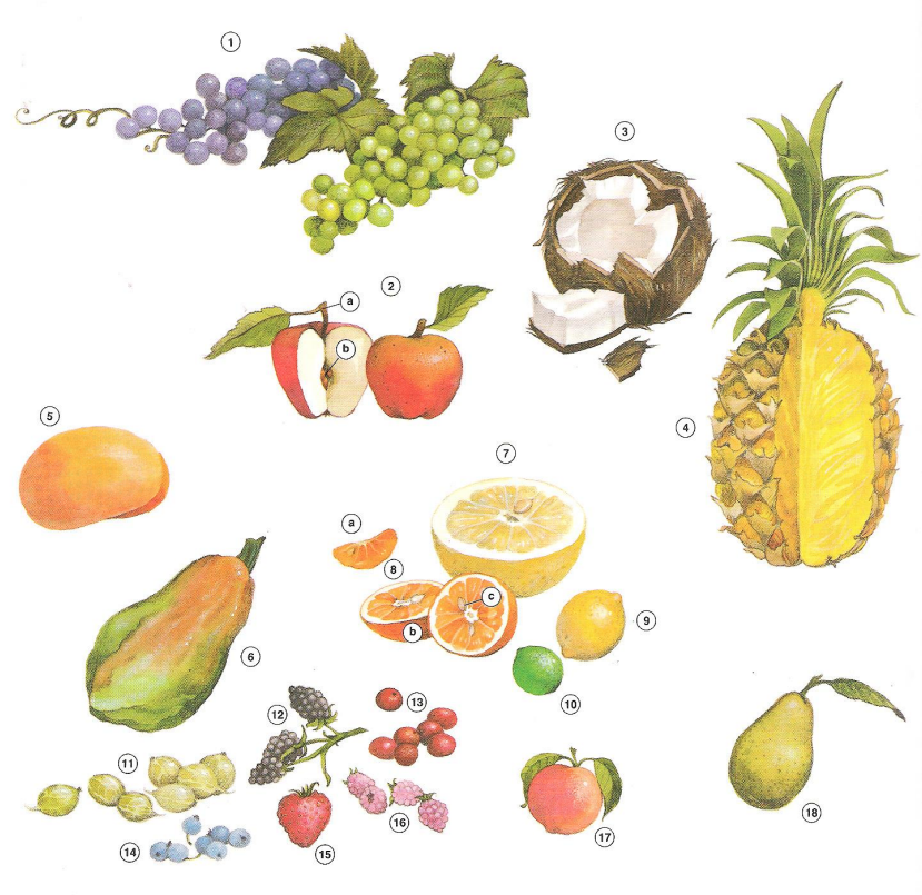 Fruits