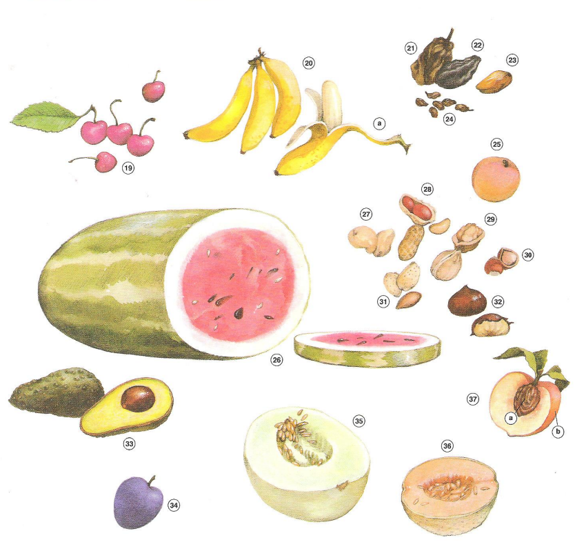 Fruits
