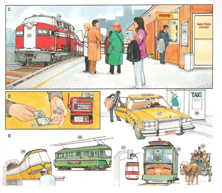 Public Transportation - English Book