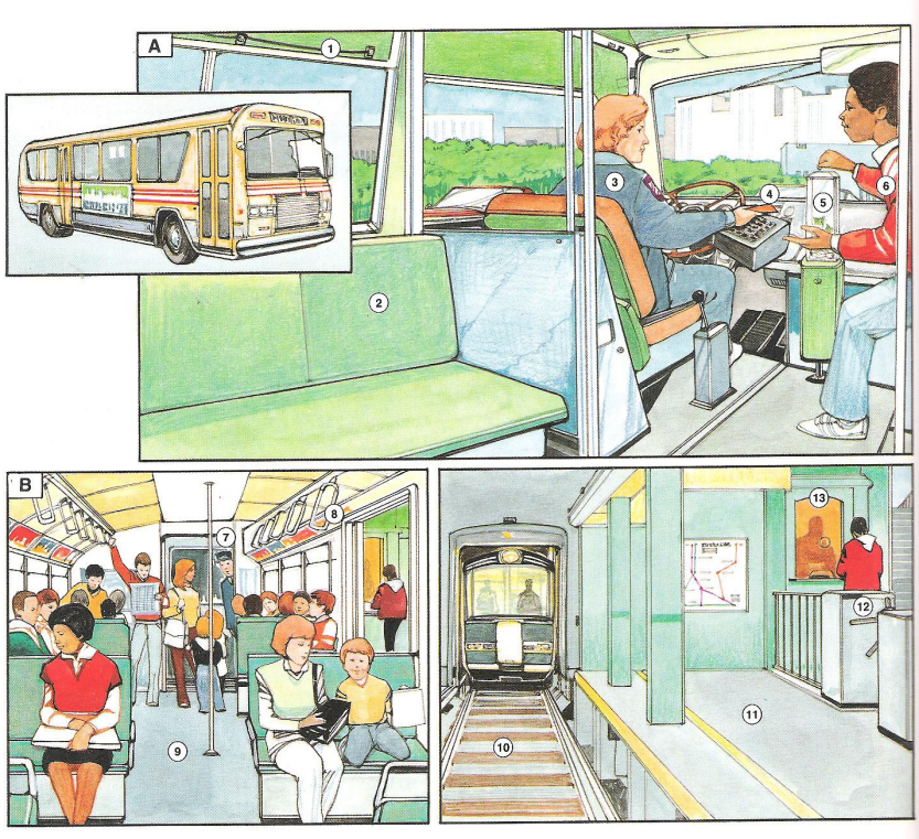 Public Transportation - English Book